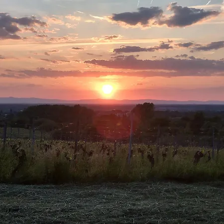 Apartamento Lina - Komfortwohnung Mit Badewanne, Kamin & Klima Kronau